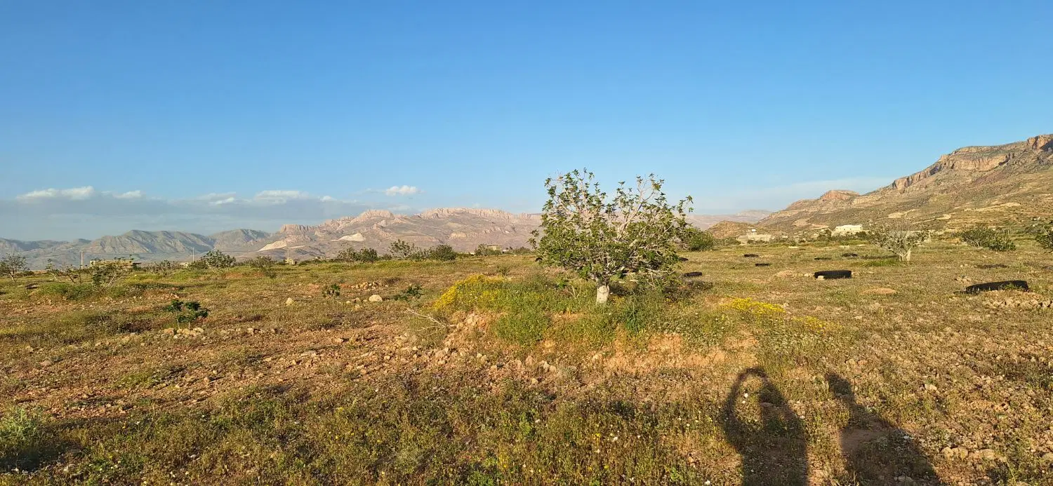 فروش ملک انجیر