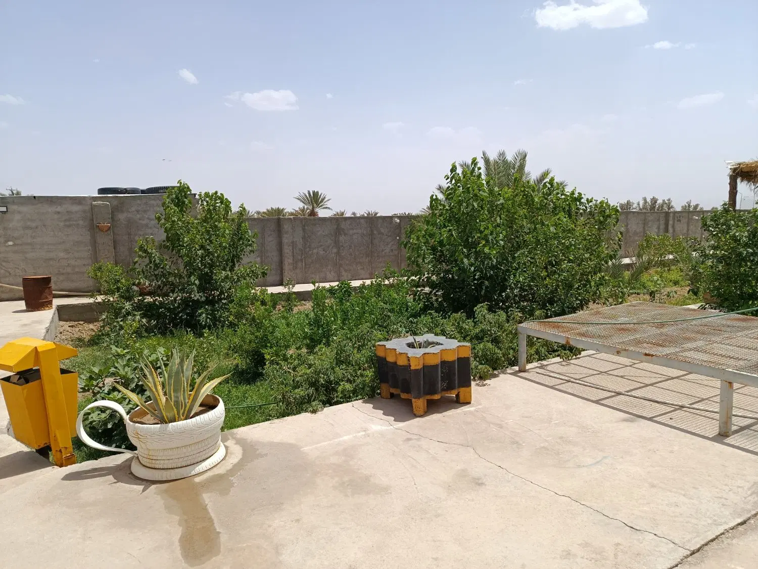 فروش خانه باغ در روستای رضائیه بافق