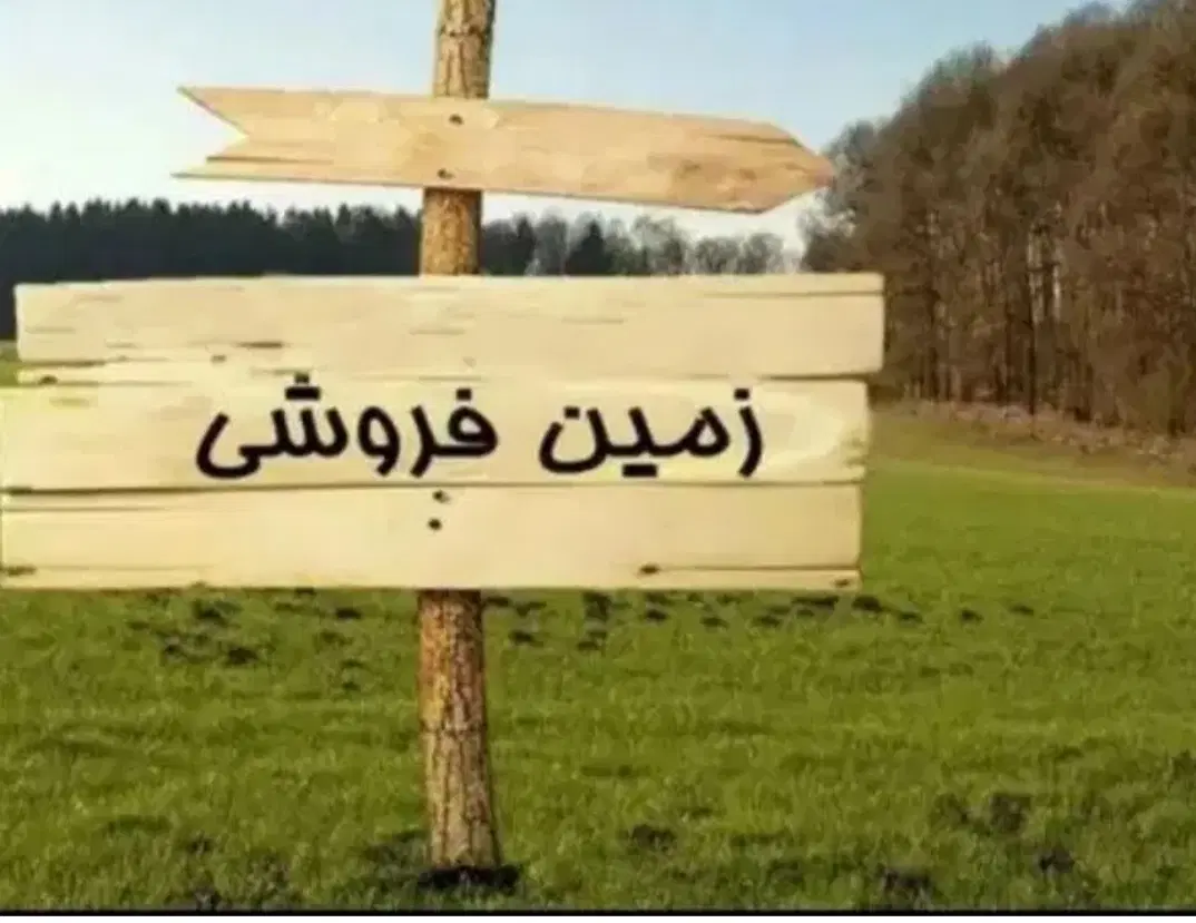 زمین فروشی امیرکبیر