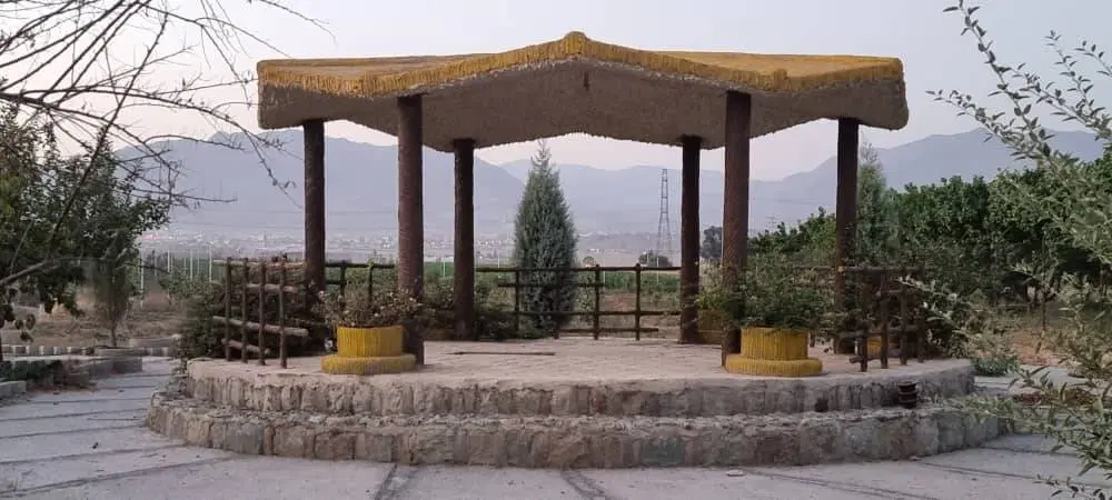 باغ و زمین