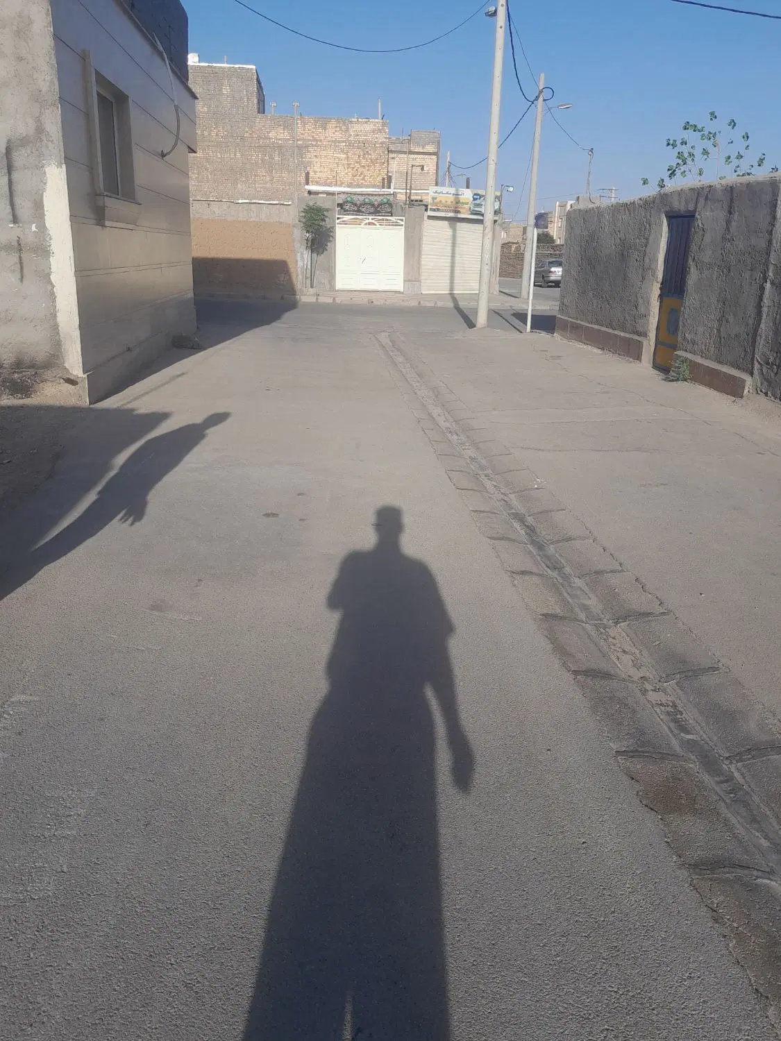 یک قطعه زمین آینددار
