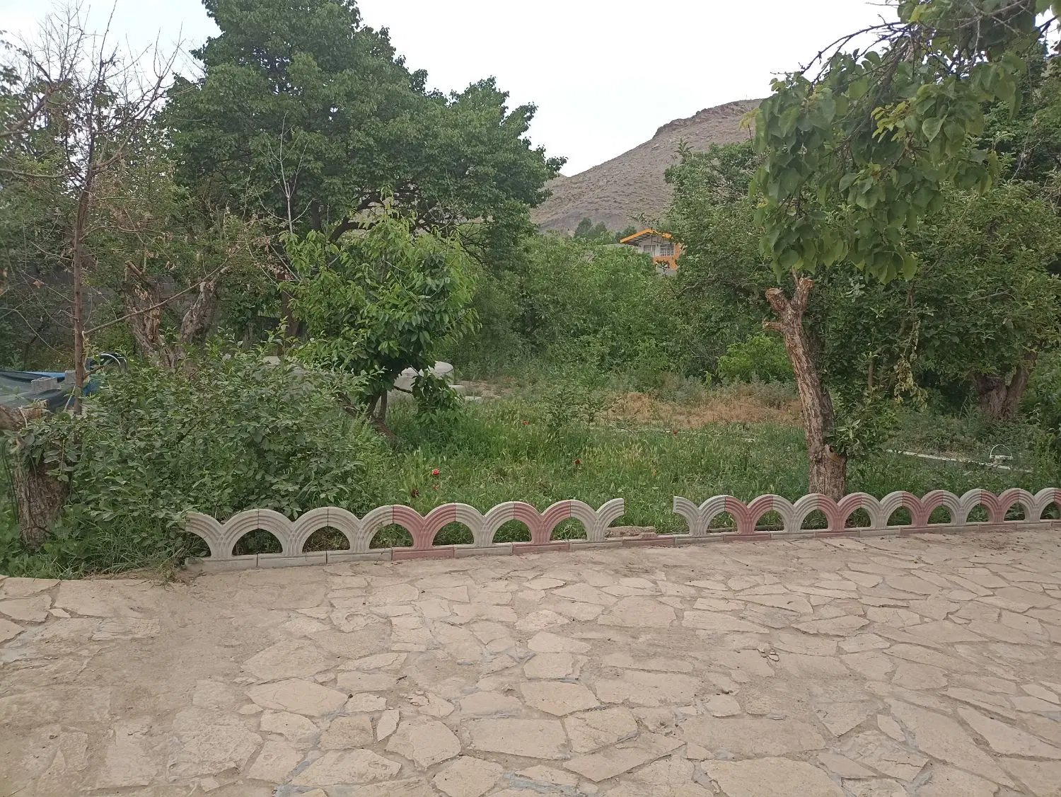 فروش باغ عارفی