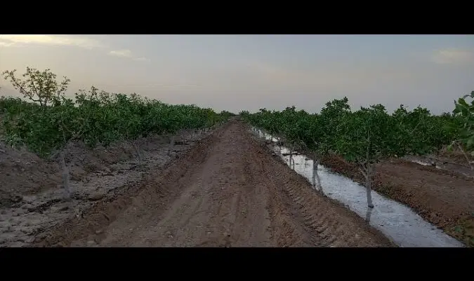 آب چاه کشاورزی