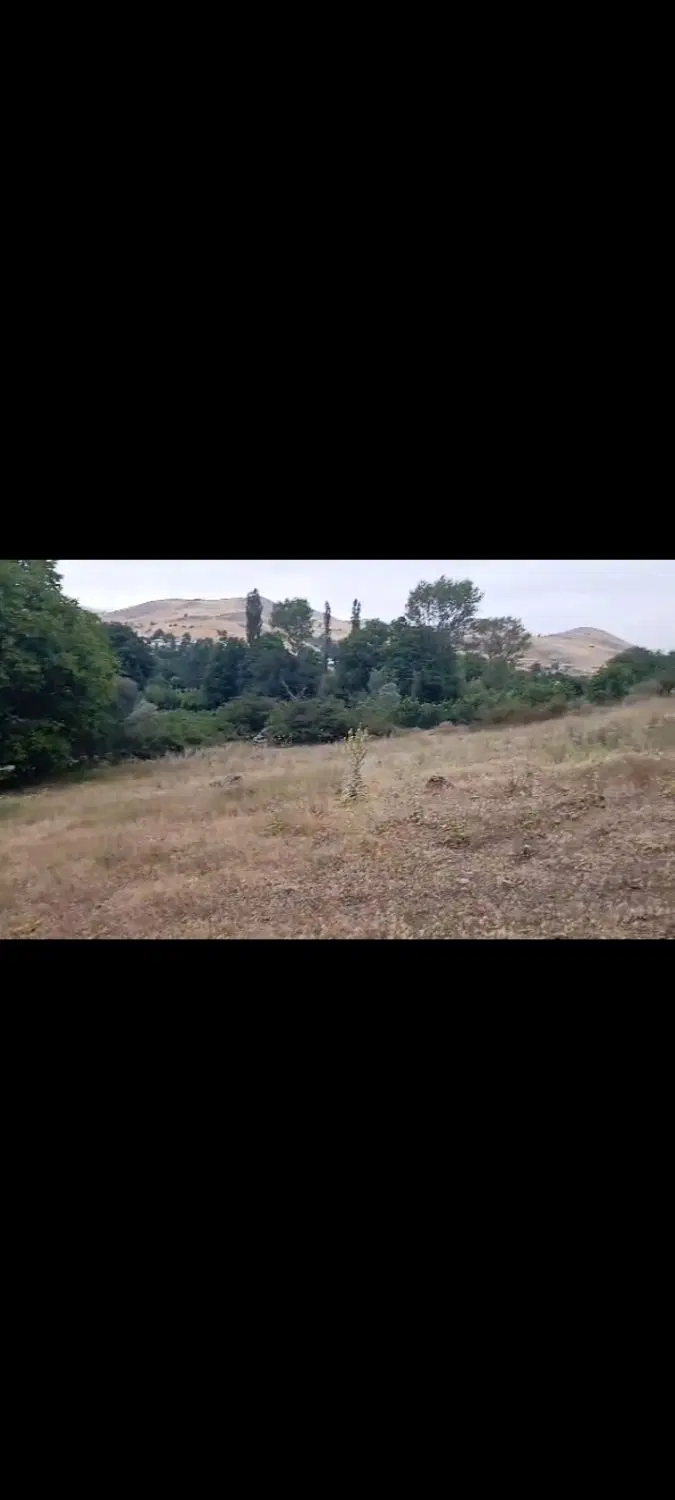 زمین کشاورزی در دیلمان