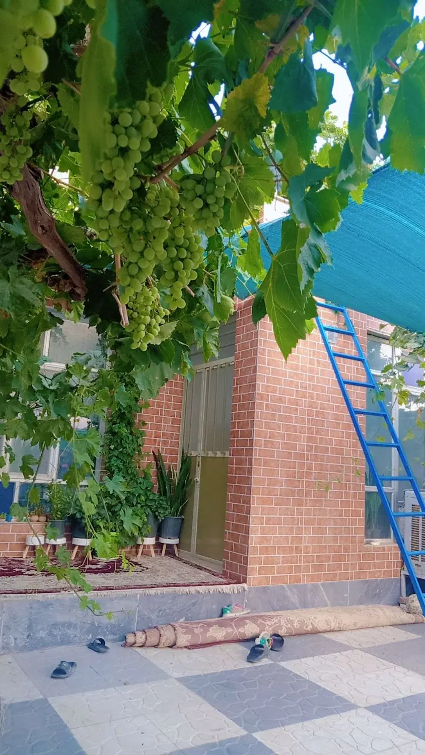 خانه ویلایی فروشی