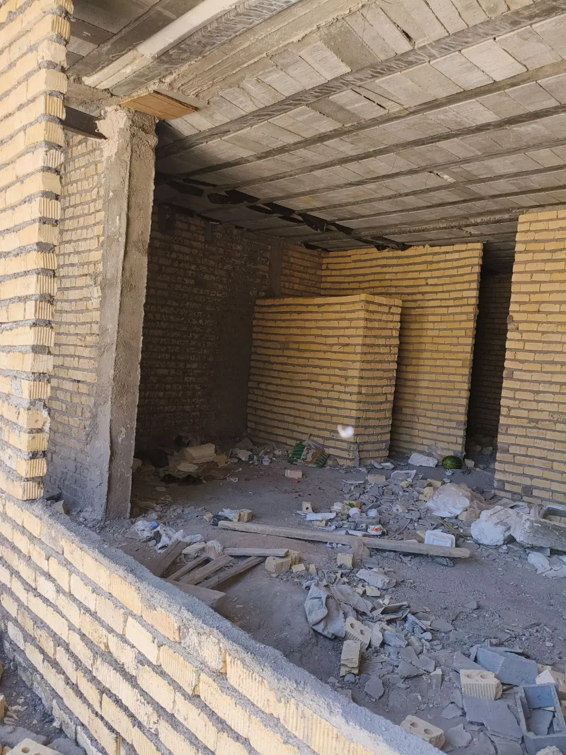 اسکلت نو ساز