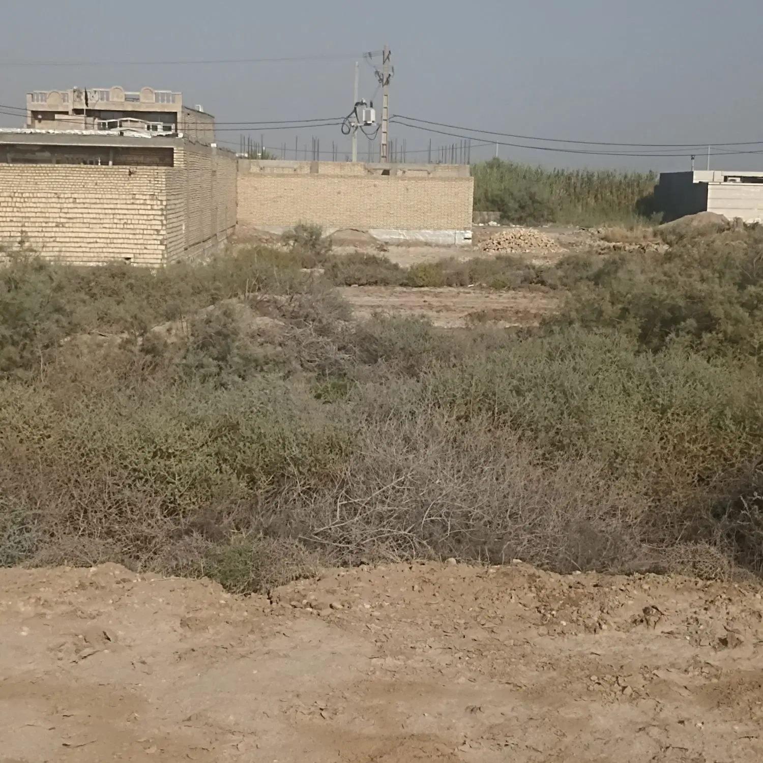 جزیره مینو زمین200 متری