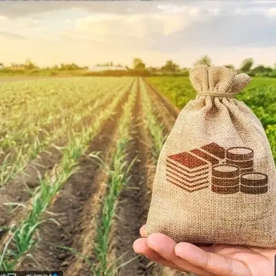 فروش زمین