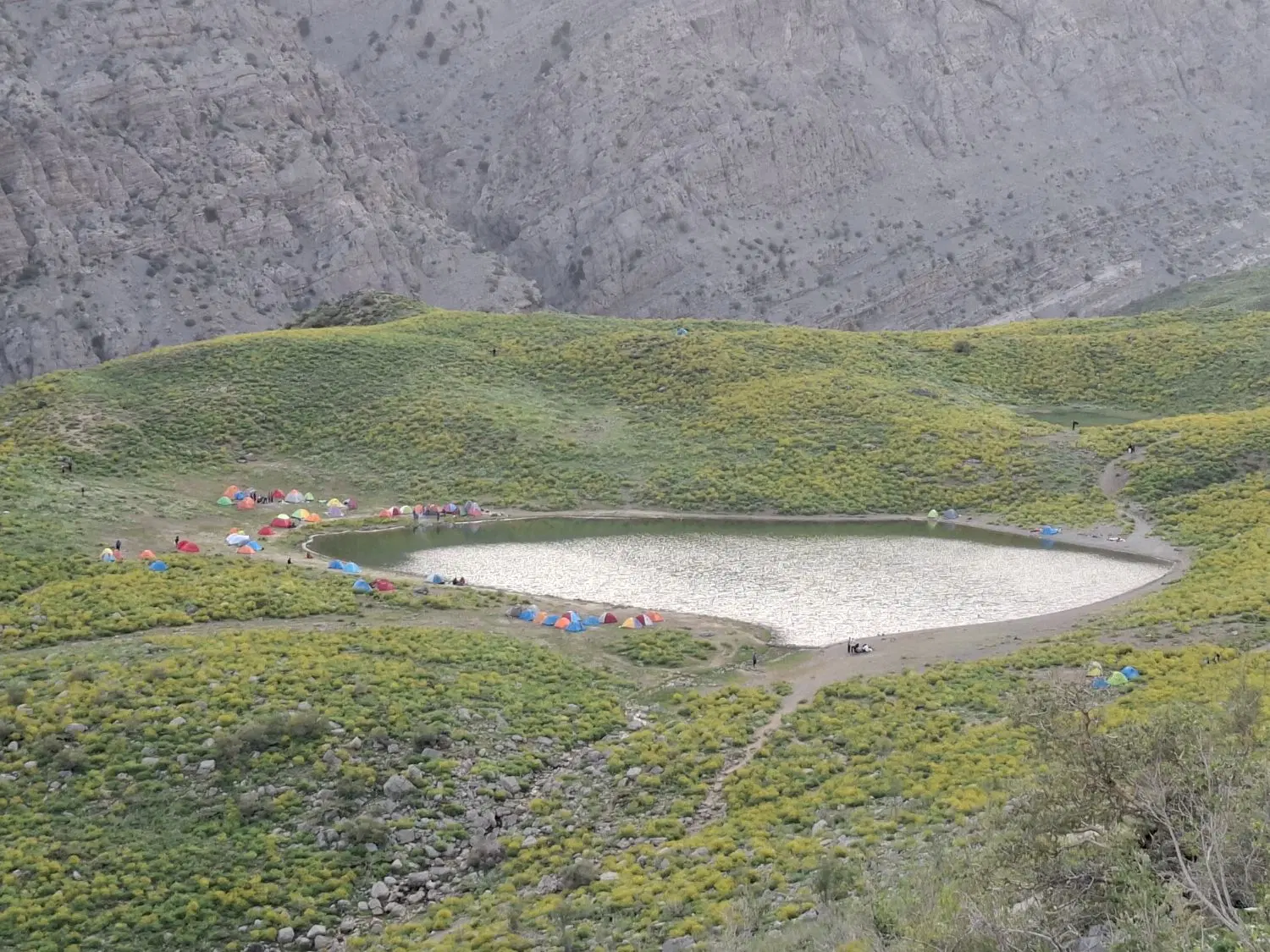 زمین مسکونی
