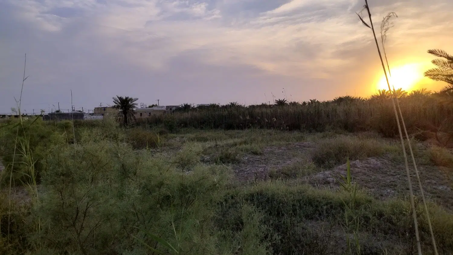 زمین فروش