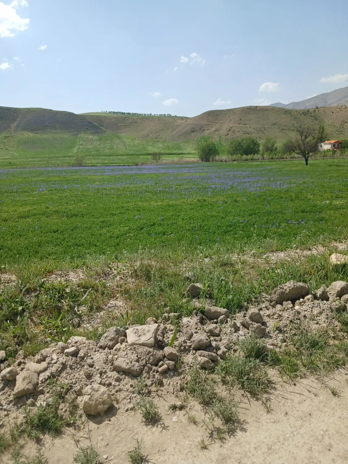 فروش زمین ۲۵۰۰ متر  روستای پیرودلو در اولانک کلته