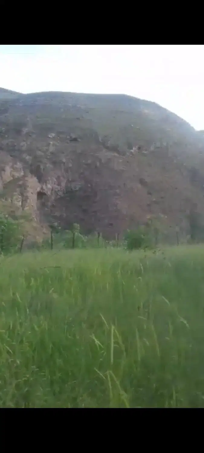 زمین ۱۳۵۶ متر با سند تک‌برگ - دارای فنس و درب