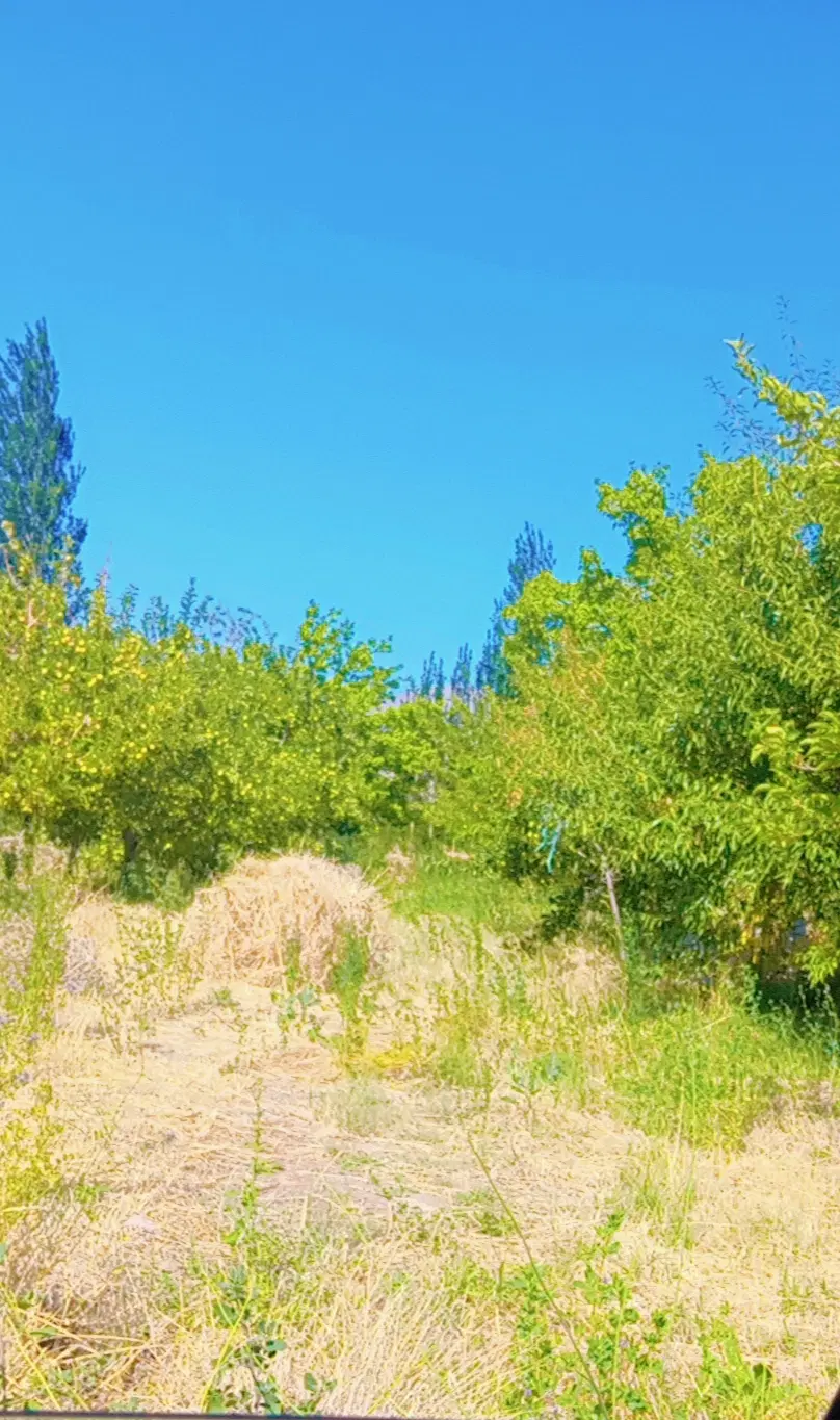 قطعه باغ در بناب مرند