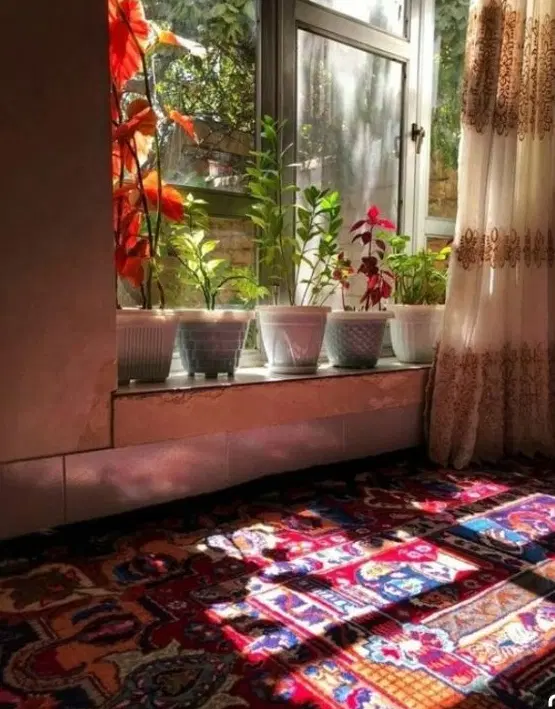 خانه ویلایی خیابان عاشورا کوچه فرهادی بن بست رز