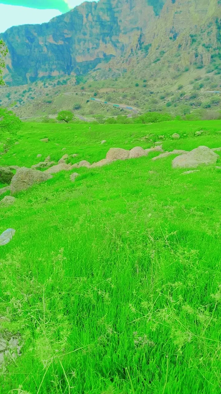 فروشی