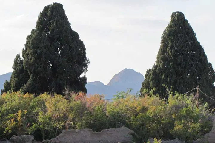 زمین مسکونی مبارکه تفت.