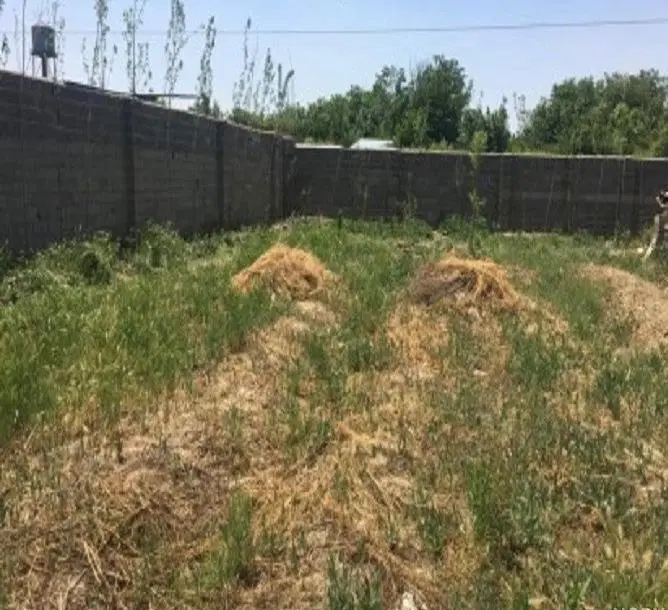 فروش زمین گورک