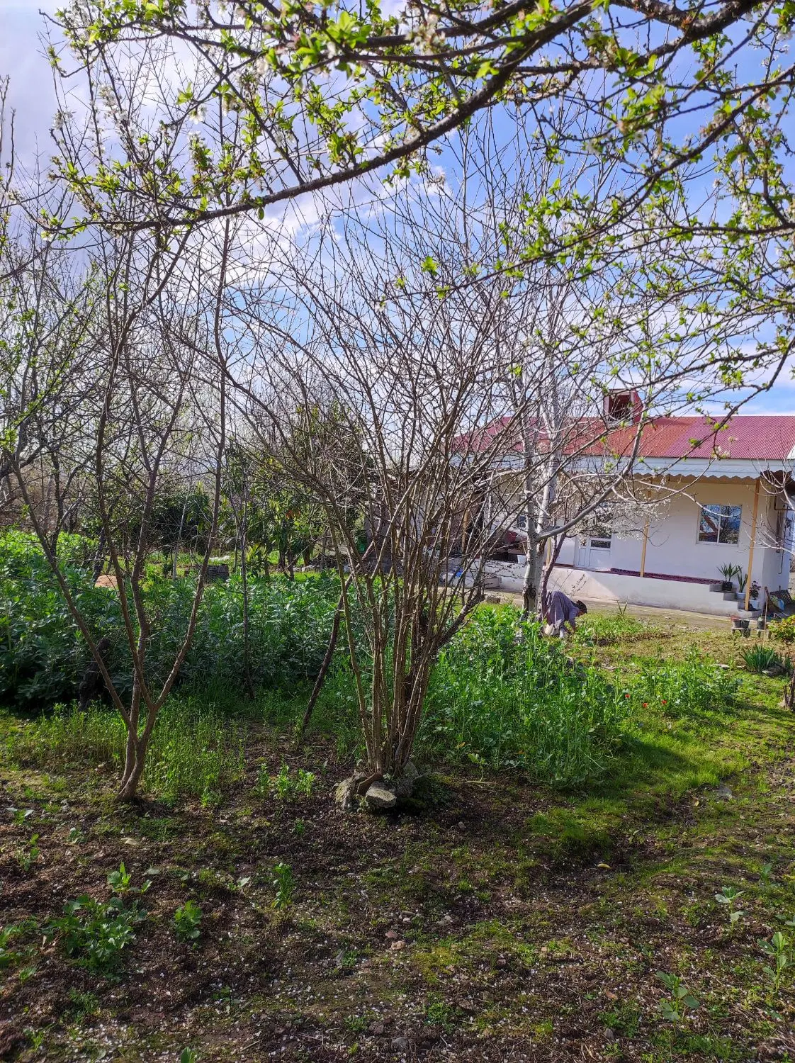 خانه ویلایی 1100متری