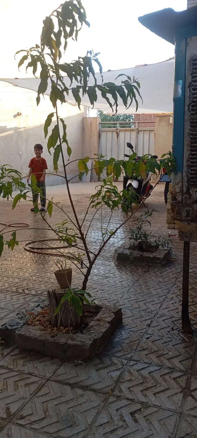 اجاره