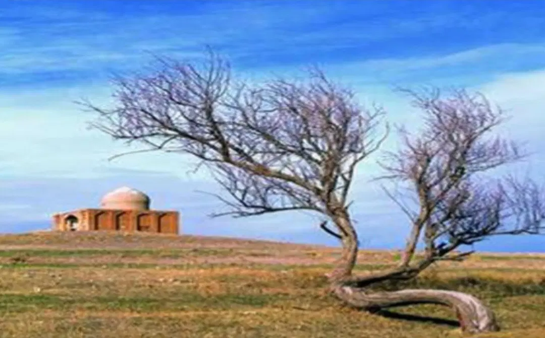 ۱۲ هکتار   زمین روستایی  متری فقط ۲۰ هزار تومان