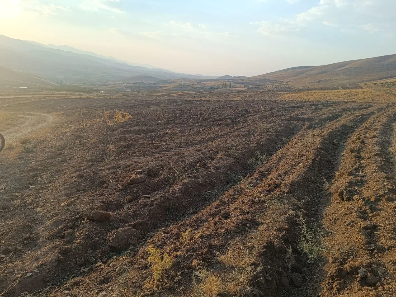 زمین باغی