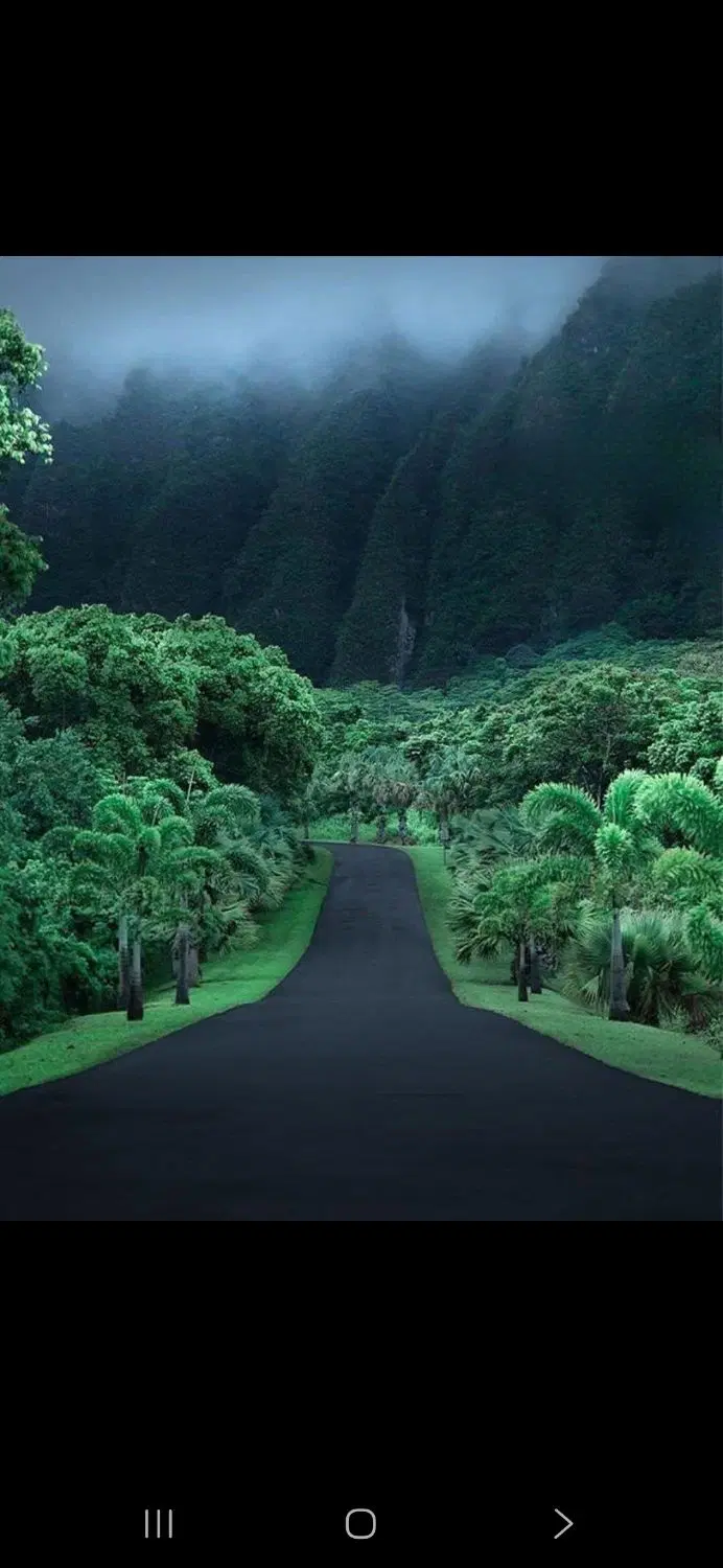 زمین فوق العاده