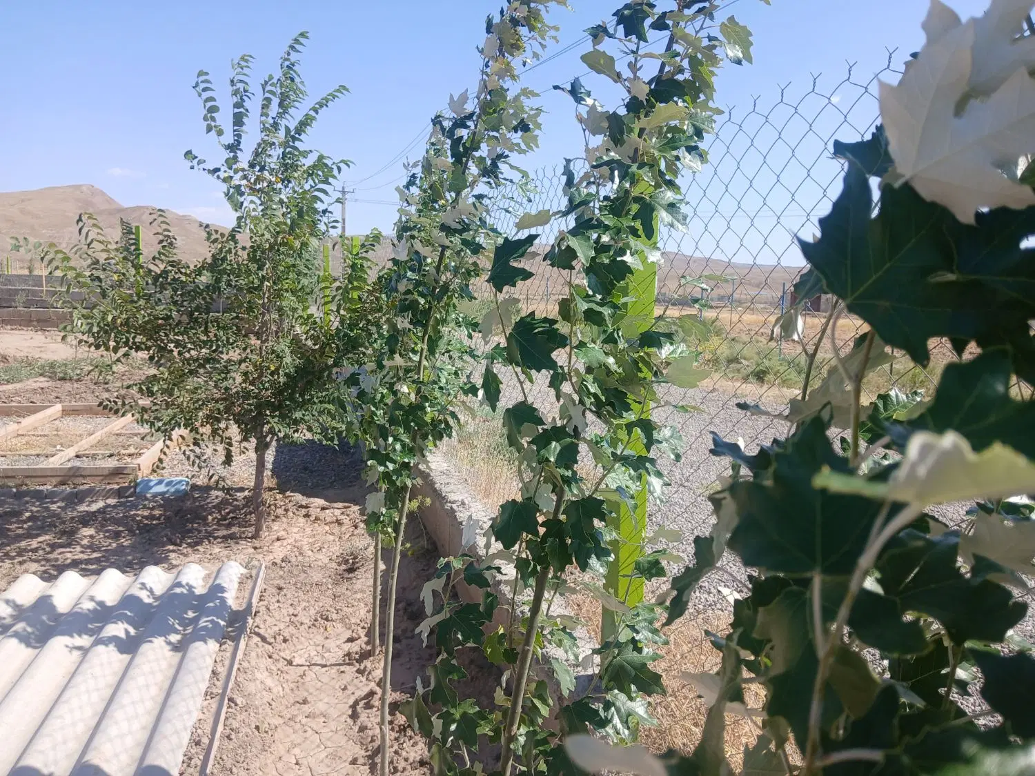 باغ در امندی خواجه