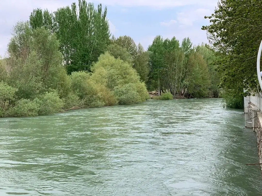 ویلا باغ جنگلی