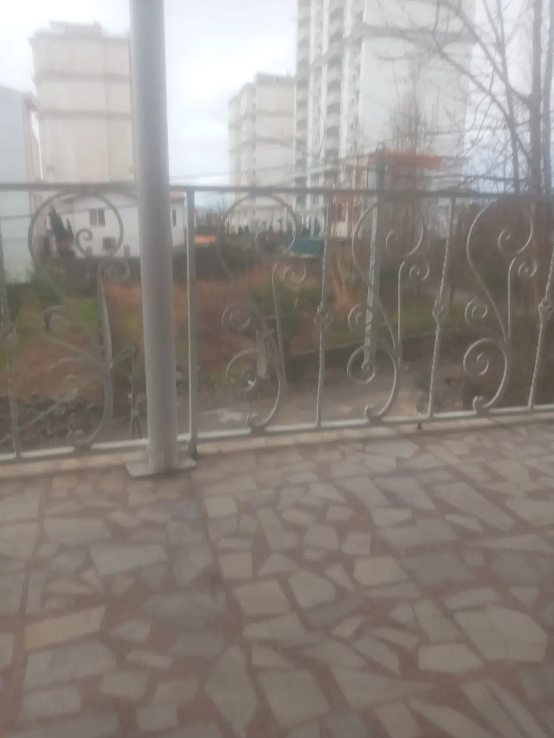 همخونه موجه نیاز دارم