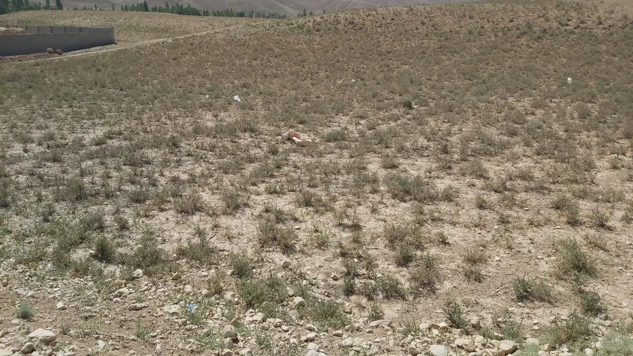حدود ۳هزار متر سند تکبرگ ۶دانگ