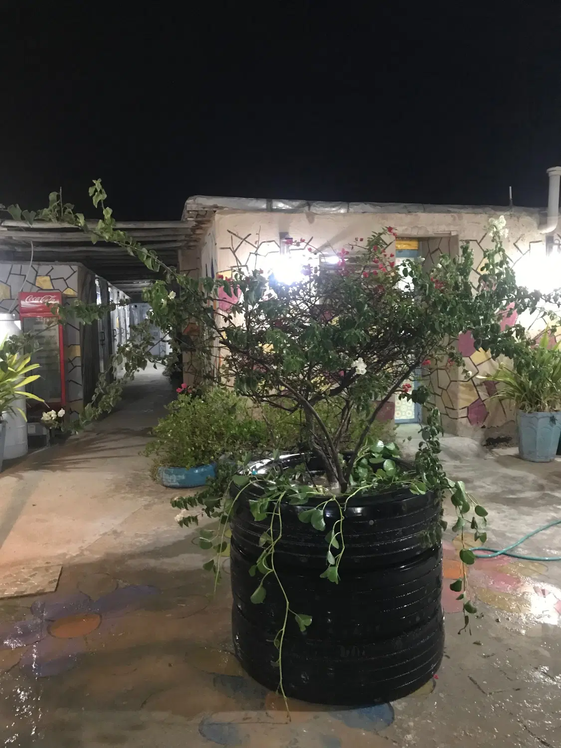 رهن و اجاره سوییت مبله