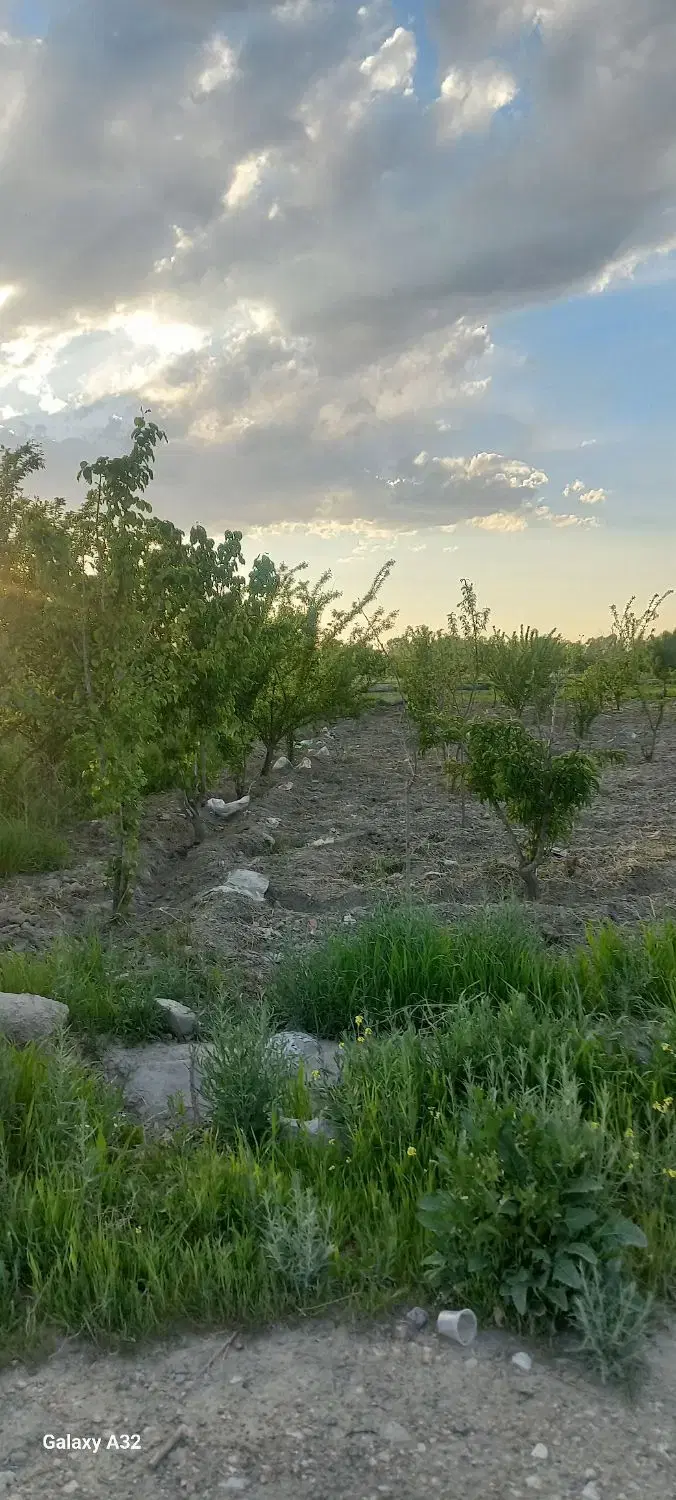 زمین  زیرکمربندی وصل شهر