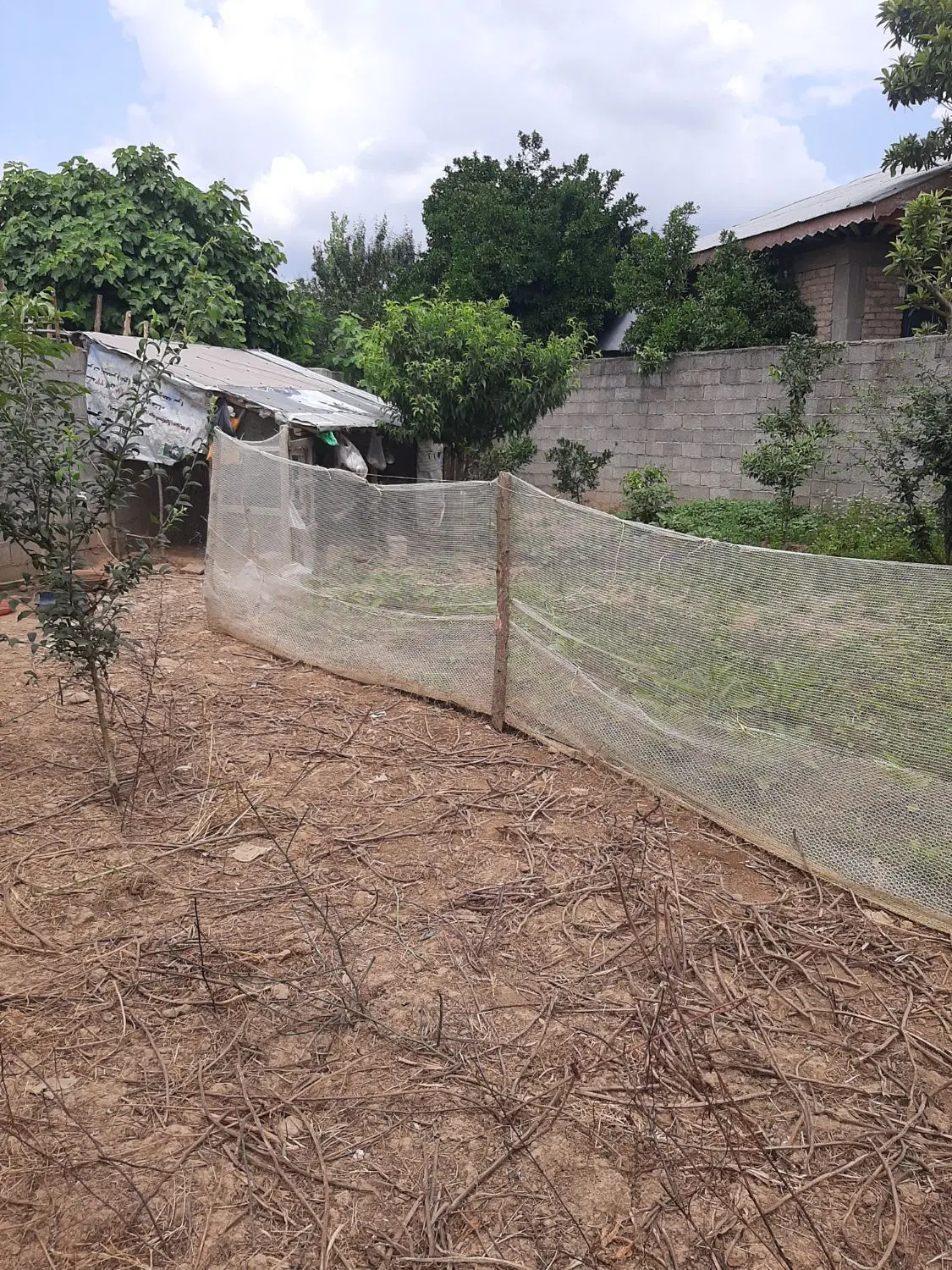 زمین مسکونی اباتر با پروانه ساخت