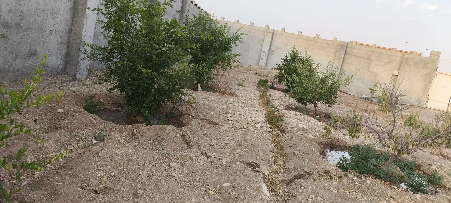 باغ سورچه بالا