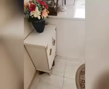 اجاره آپارتمان