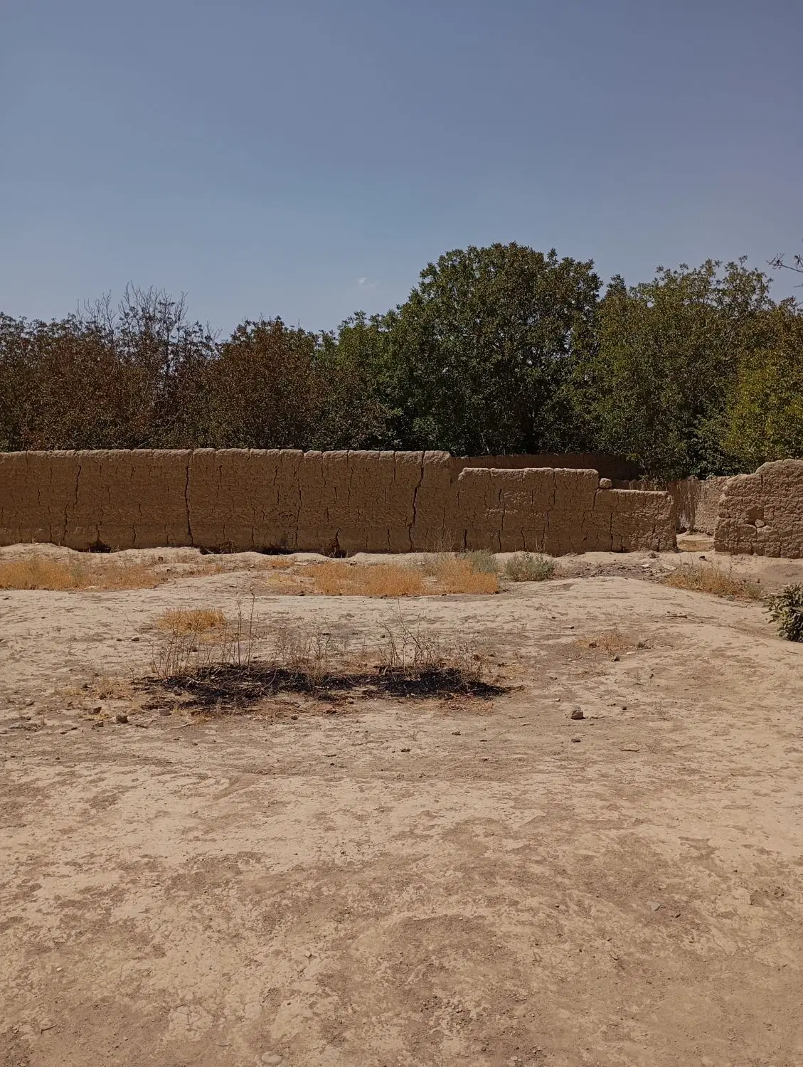 زمین
