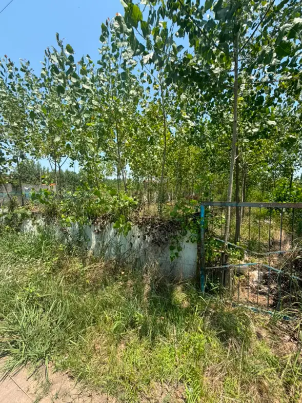 زمین با کاربری مسکونی