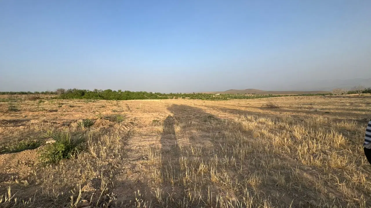 زمین کشاورزی