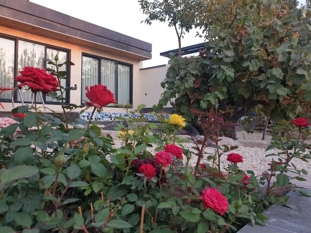 باغ ویلای مدرن ۲ خواب سند تکبرگ