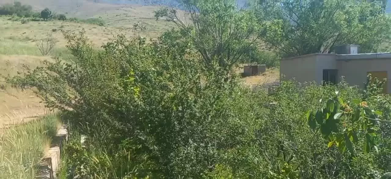 باغ ویلا