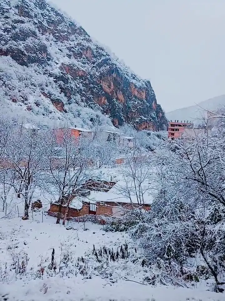 واحدآپارتمان ۸۸متری روستای زیارت