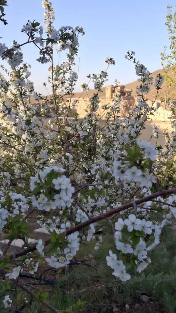 زمینت رو گرون نخر