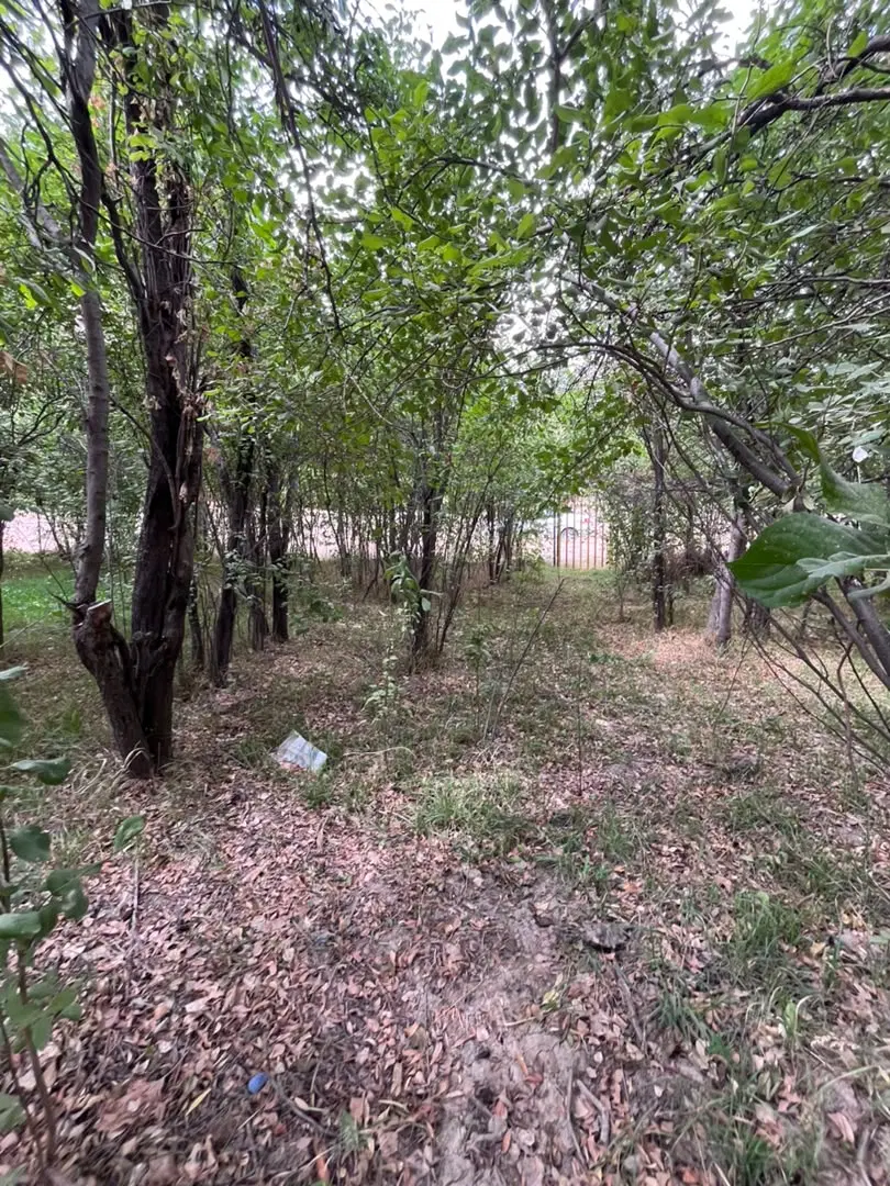 فروش باغ با بنا مسکونی در روستای سرخدست