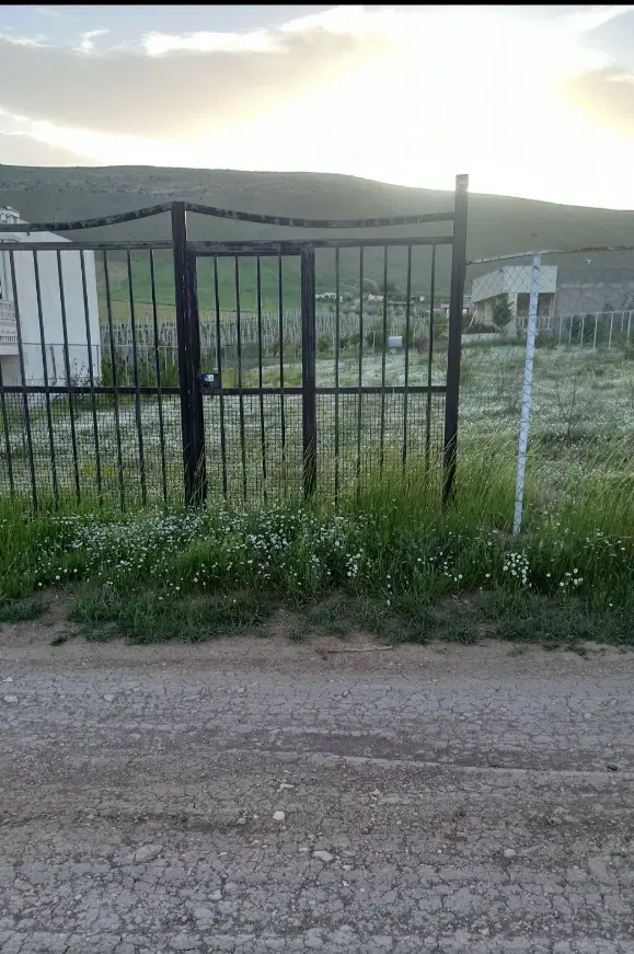 فروش باغ در روستای کوسه