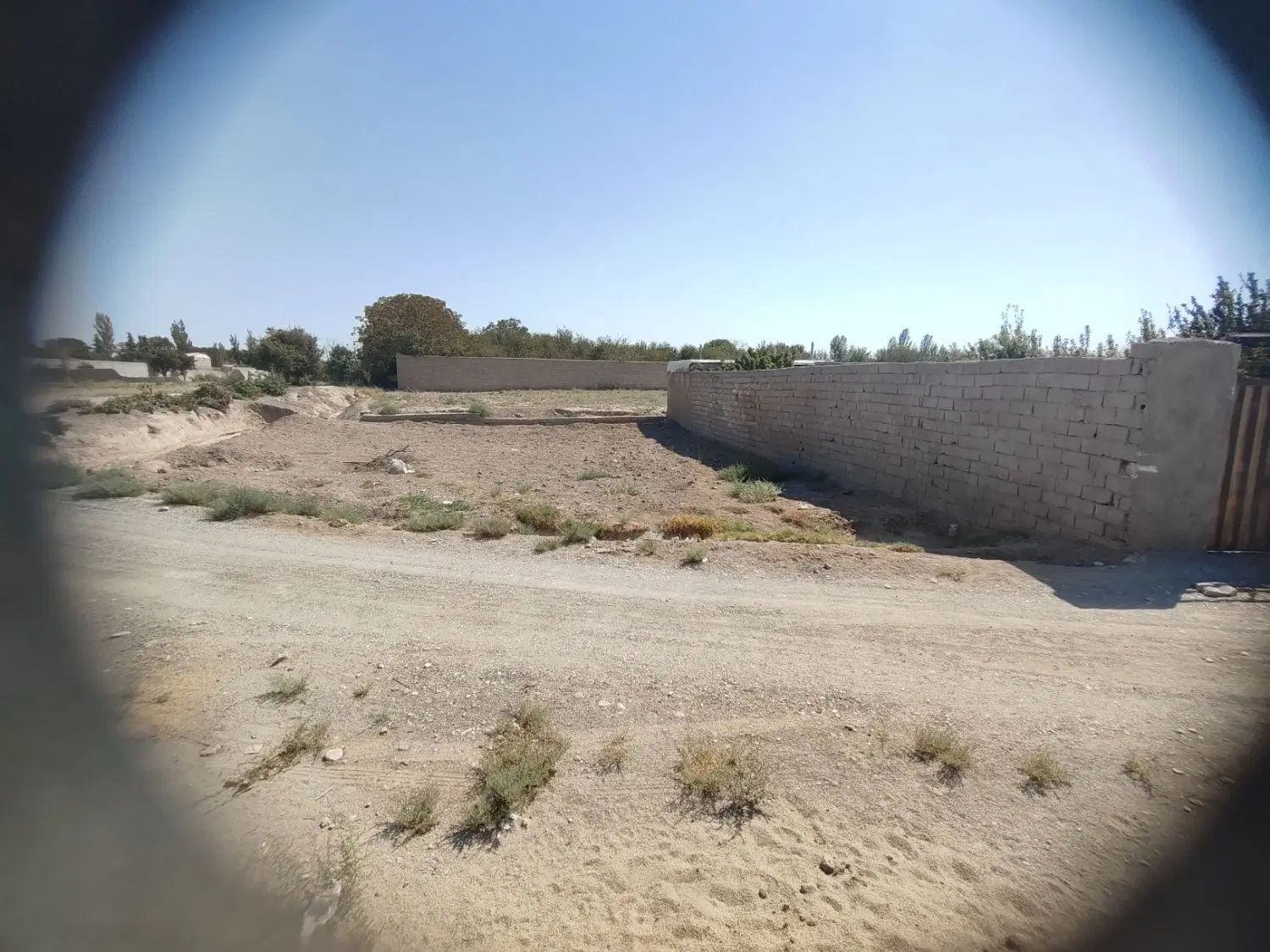 ملک باغی