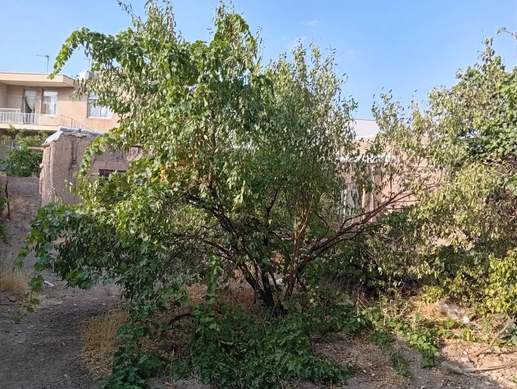 زمین مسکونی