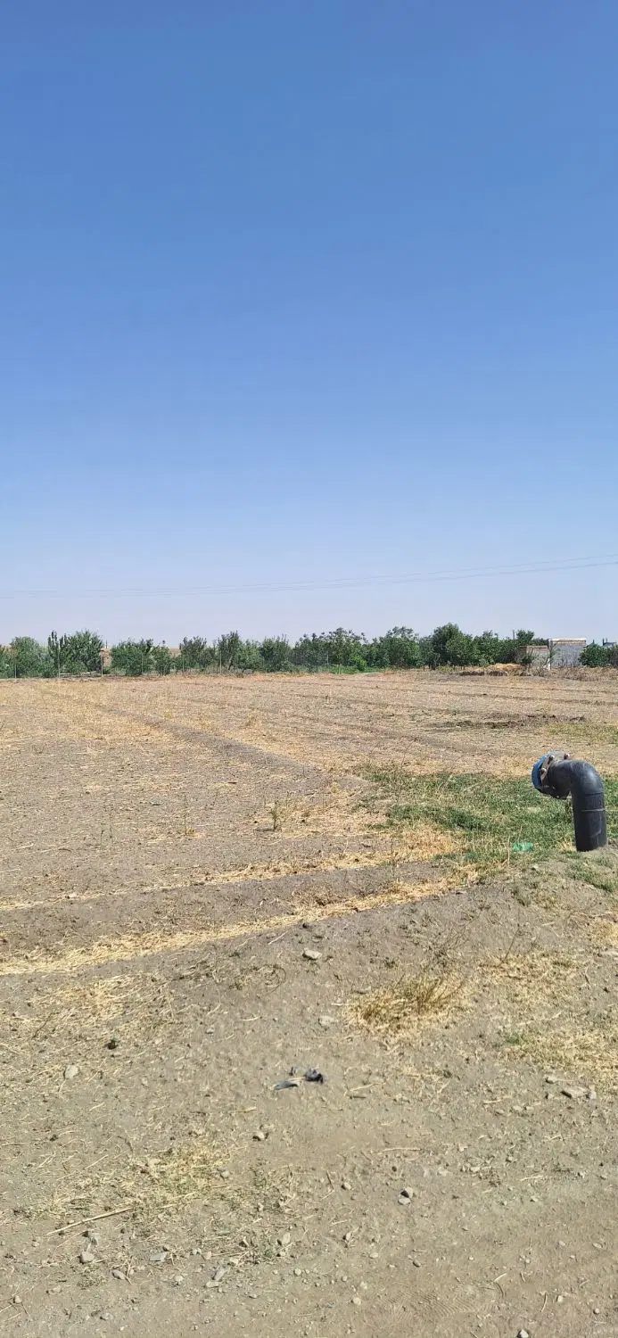 فروش ۶۰۰ متر زمین ریحان علیا
