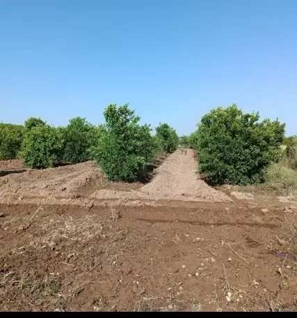 باغچه بنجعفر
