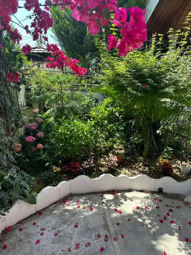 زمین 350متری شاهی دریا گوشه باویلا 120متری