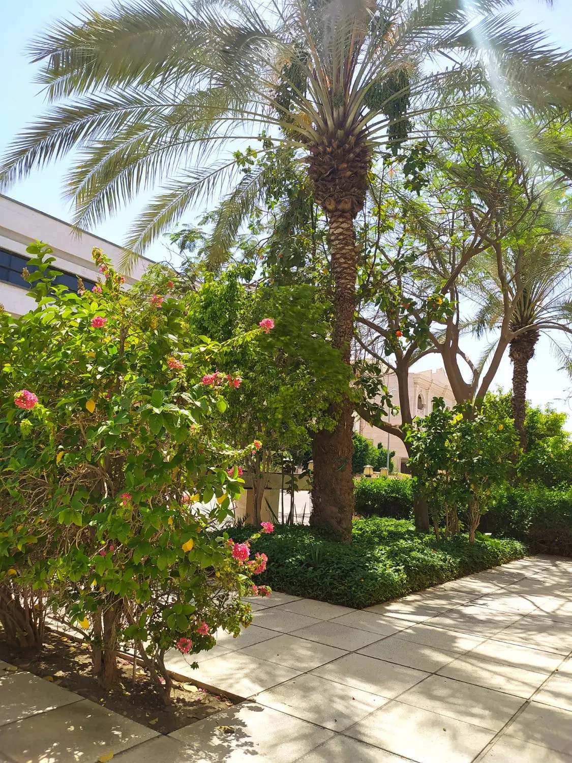 فروش  زمین چهاردانگه خزائی غربی